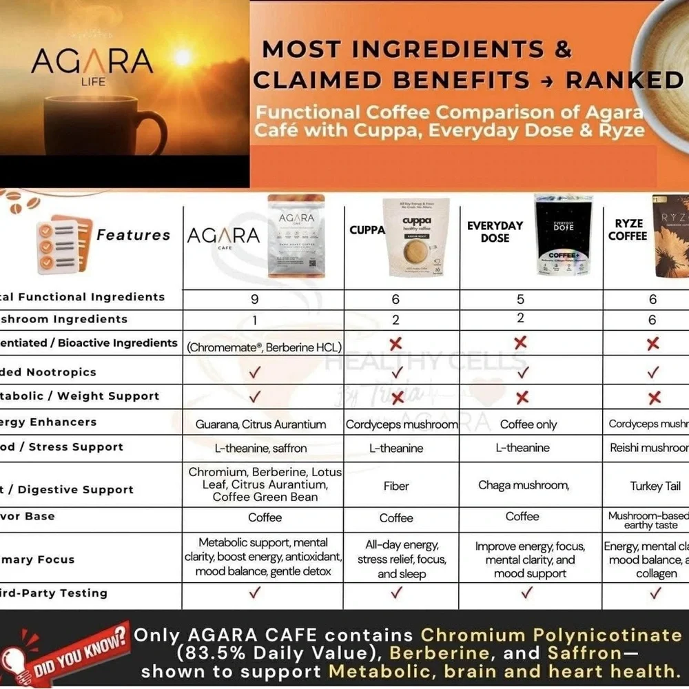 AGARA Cafe Dark Roast Coffee - White & Orange Premium Arabica